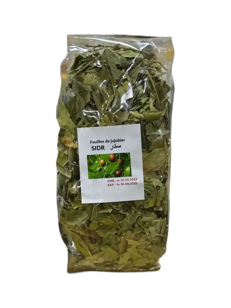 Feuilles de jujubier sidr
