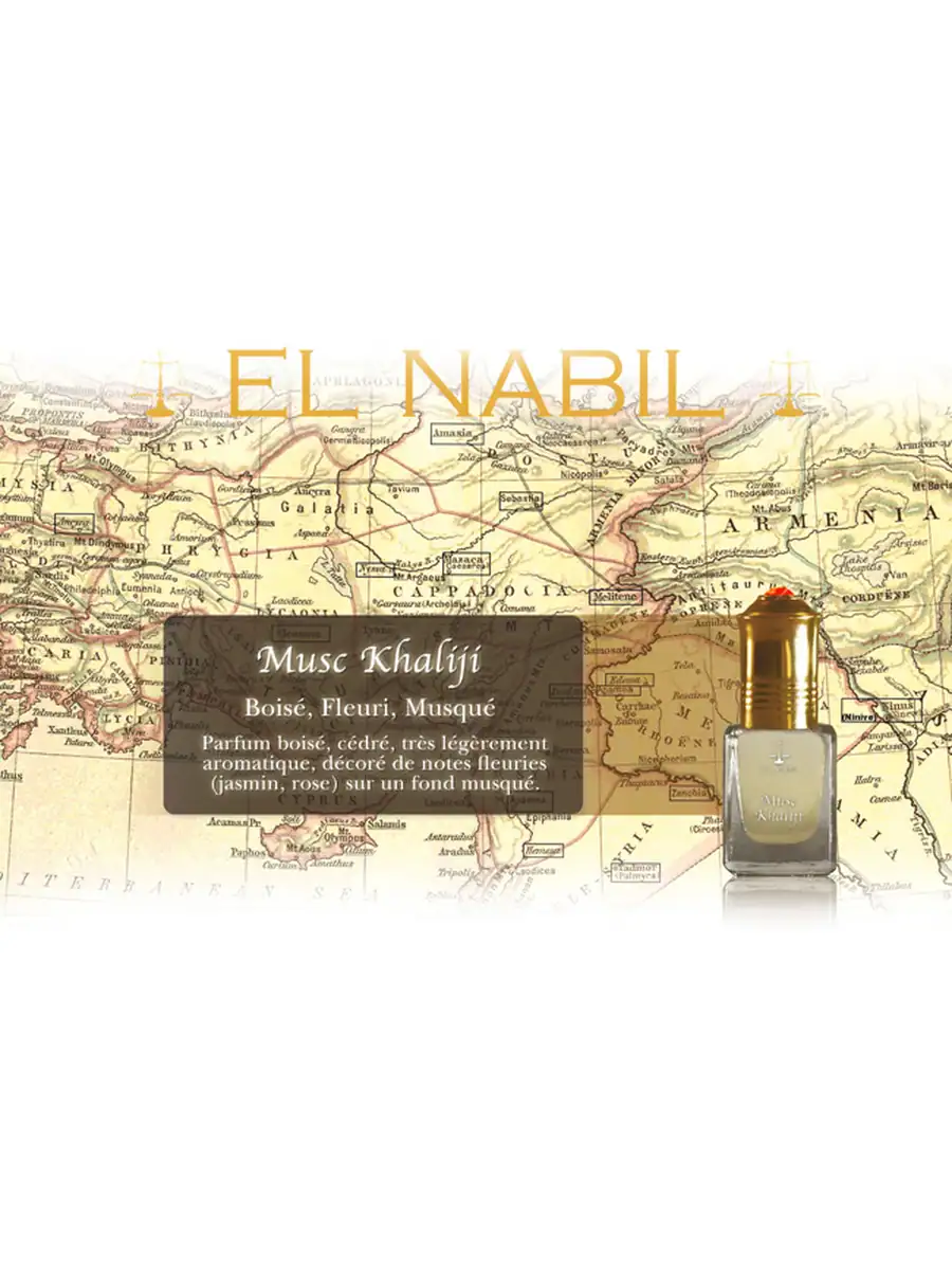 Musc khaliji al nabil